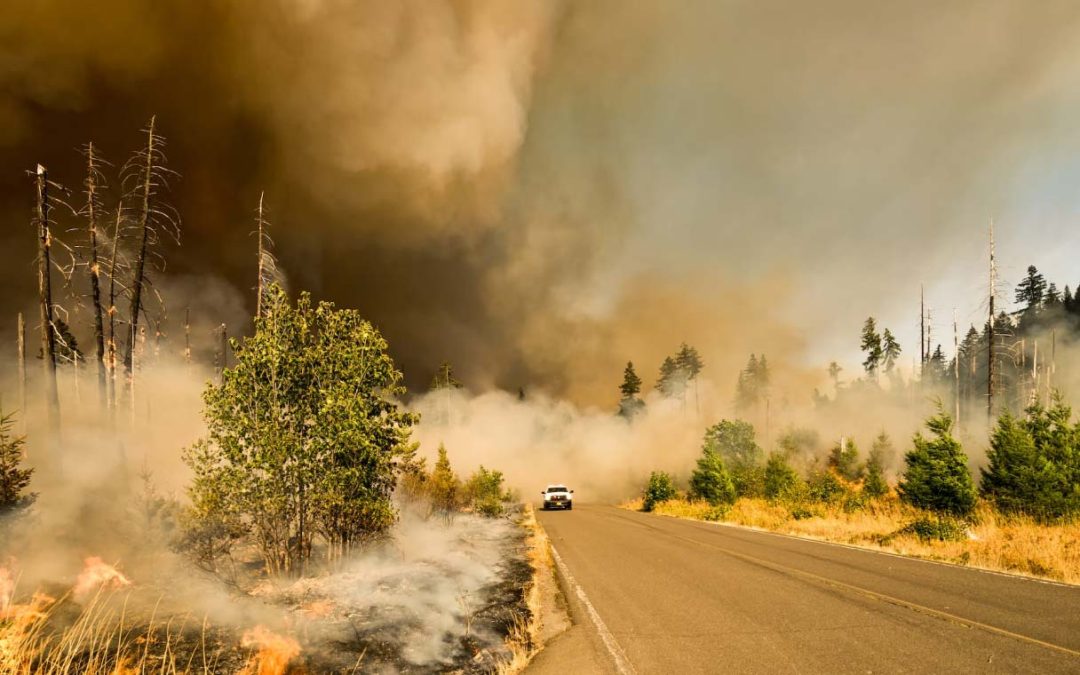 Help Families Today with Critical Relief
